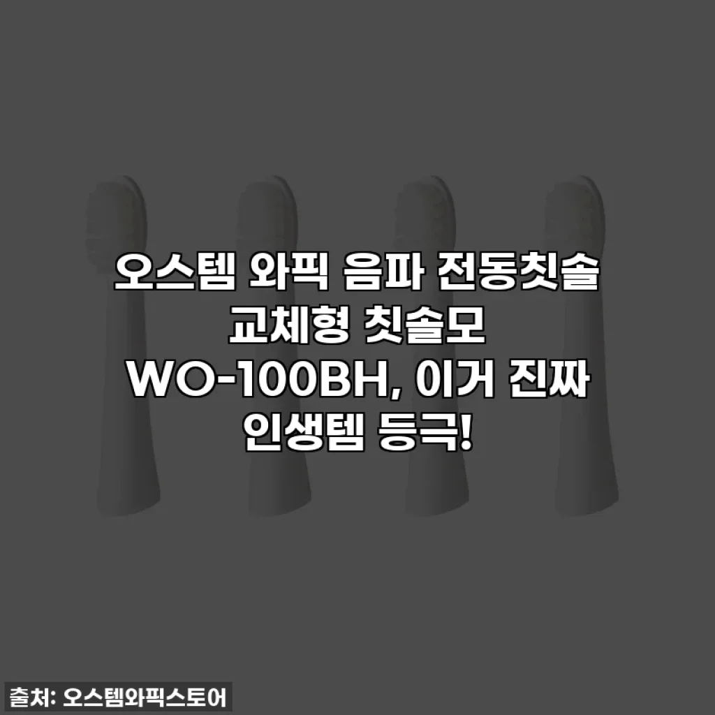 오스템 와픽 음파 전동칫솔 교체형 칫솔모 WO-100BH, 이거 진짜 인생템 등극!