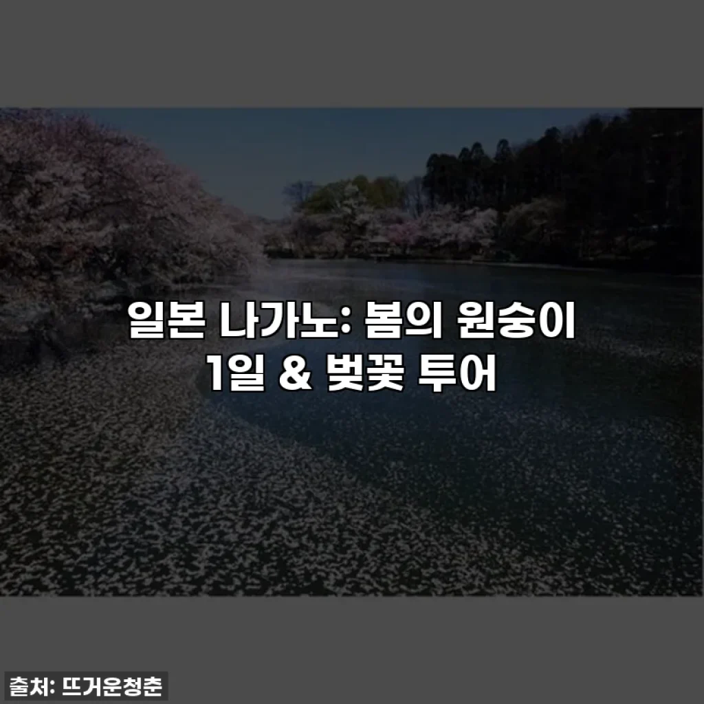 일본 나가노: 봄의 원숭이 1일 & 벚꽃 투어