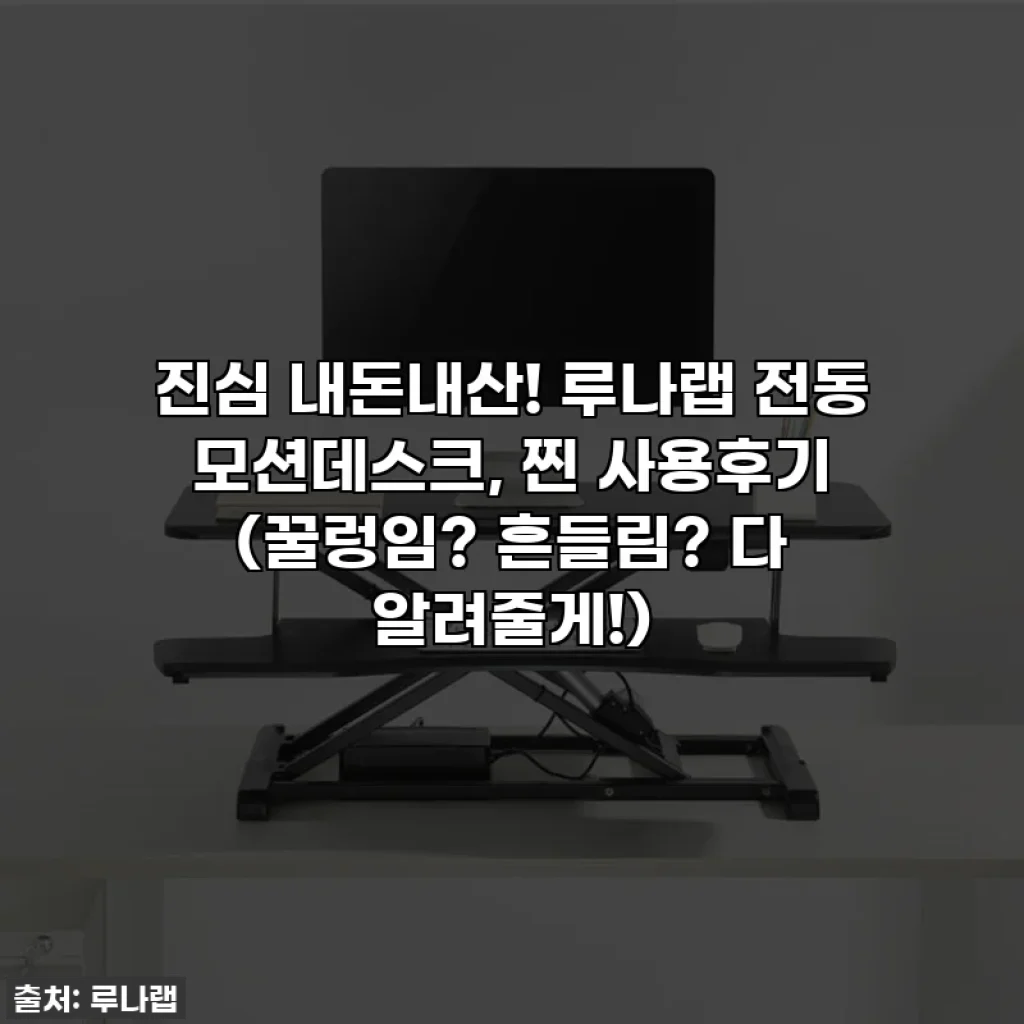 진심 내돈내산! 루나랩 전동 모션데스크, 찐 사용후기 (꿀렁임? 흔들림? 다 알려줄게!)