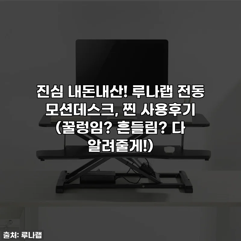 진심 내돈내산! 루나랩 전동 모션데스크, 찐 사용후기 (꿀렁임? 흔들림? 다 알려줄게!)