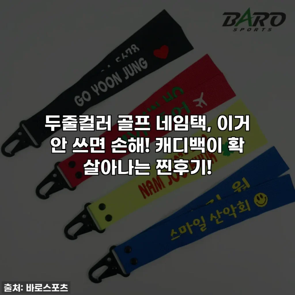 두줄컬러 골프 네임택, 이거 안 쓰면 손해! 캐디백이 확 살아나는 찐후기!