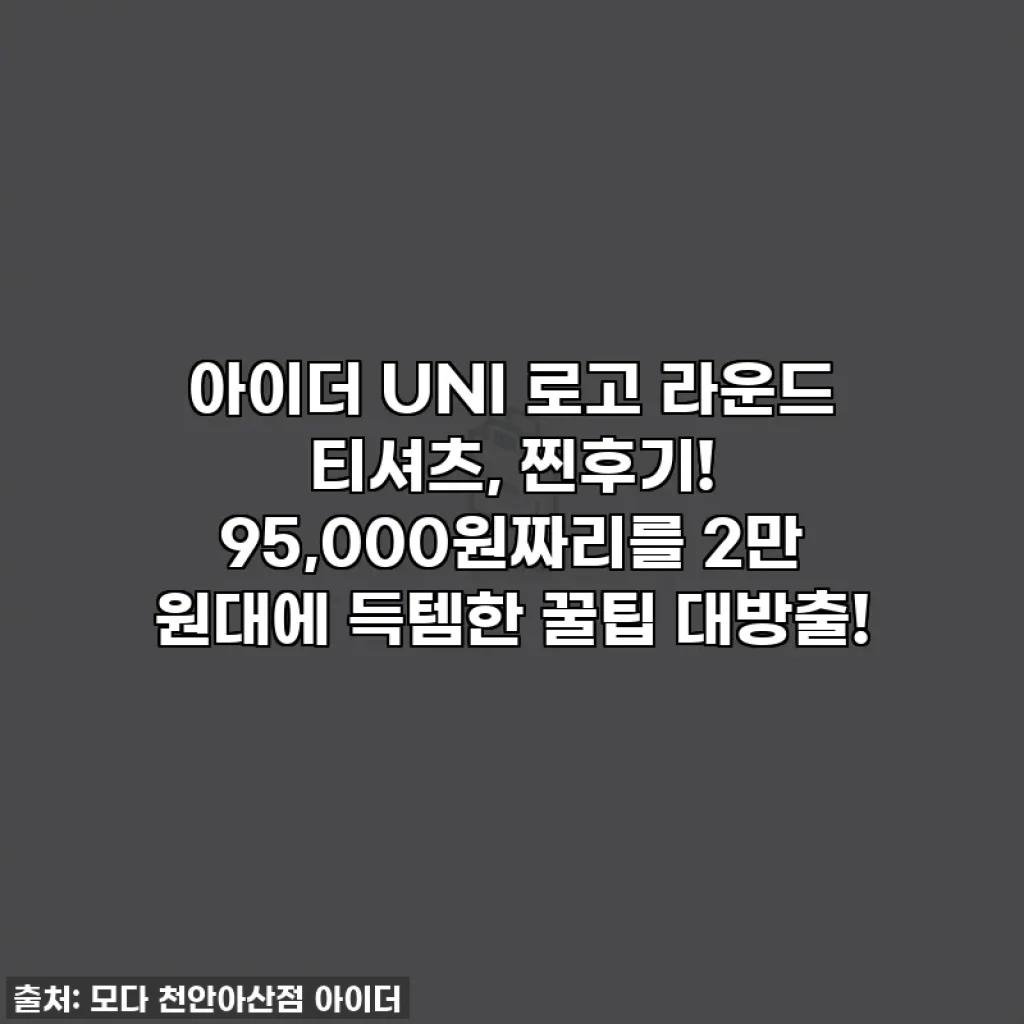 아이더 UNI 로고 라운드 티셔츠, 찐후기! 95,000원짜리를 2만 원대에 득템한 꿀팁 대방출!