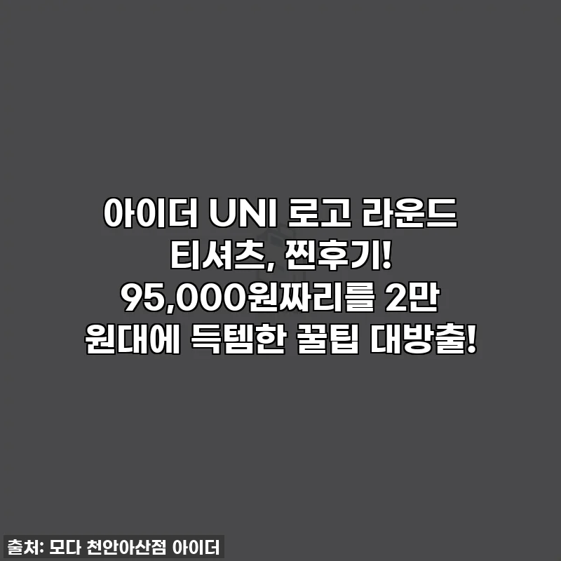아이더 UNI 로고 라운드 티셔츠, 찐후기! 95,000원짜리를 2만 원대에 득템한 꿀팁 대방출!