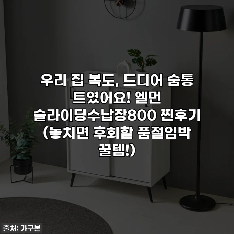 우리 집 복도, 드디어 숨통 트였어요! 엘먼 슬라이딩수납장800 찐후기 (놓치면 후회할 품절임박 꿀템!)