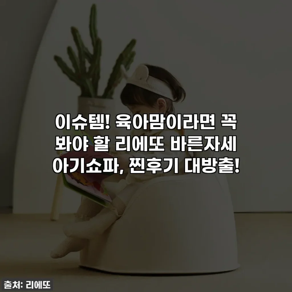 이슈템! 육아맘이라면 꼭 봐야 할 리에또 바른자세 아기쇼파, 찐후기 대방출!
