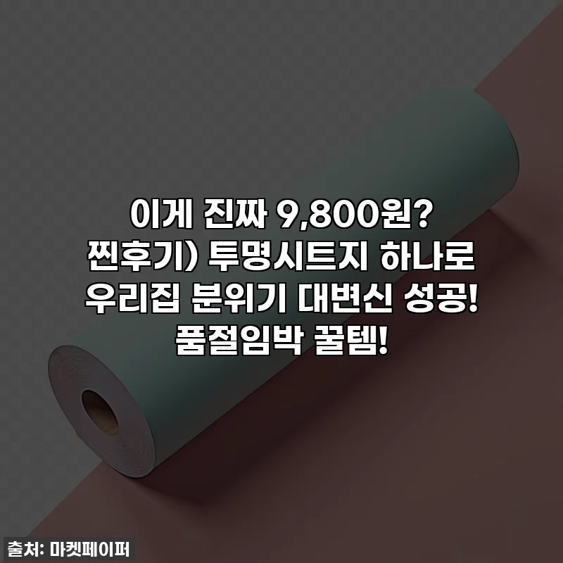 이게 진짜 9,800원? 찐후기) 투명시트지 하나로 우리집 분위기 대변신 성공! 품절임박 꿀템!