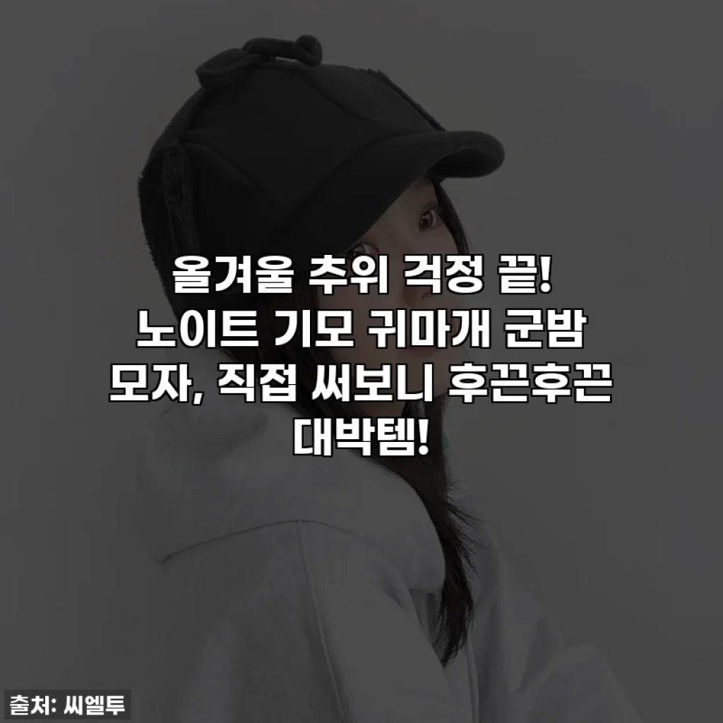 올겨울 추위 걱정 끝! 노이트 기모 귀마개 군밤 모자, 직접 써보니 후끈후끈 대박템!
