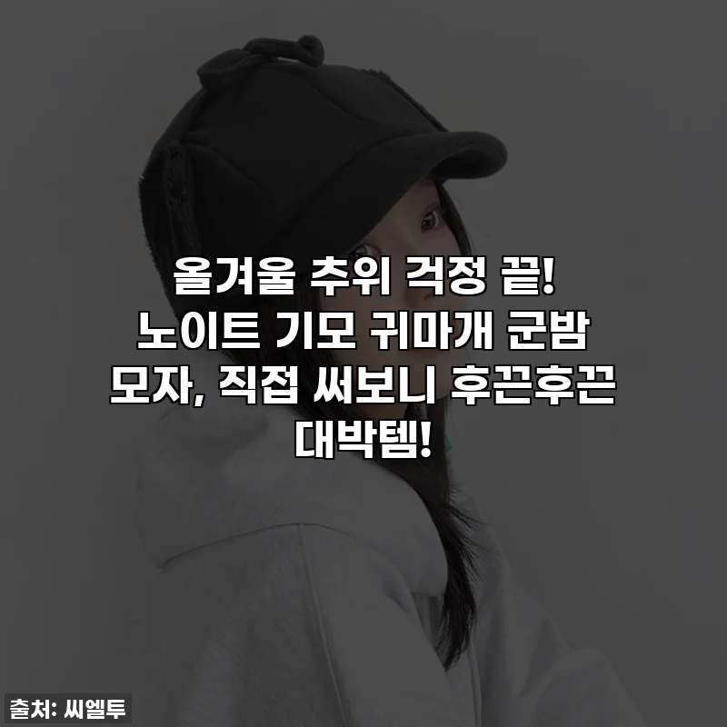 올겨울 추위 걱정 끝! 노이트 기모 귀마개 군밤 모자, 직접 써보니 후끈후끈 대박템!