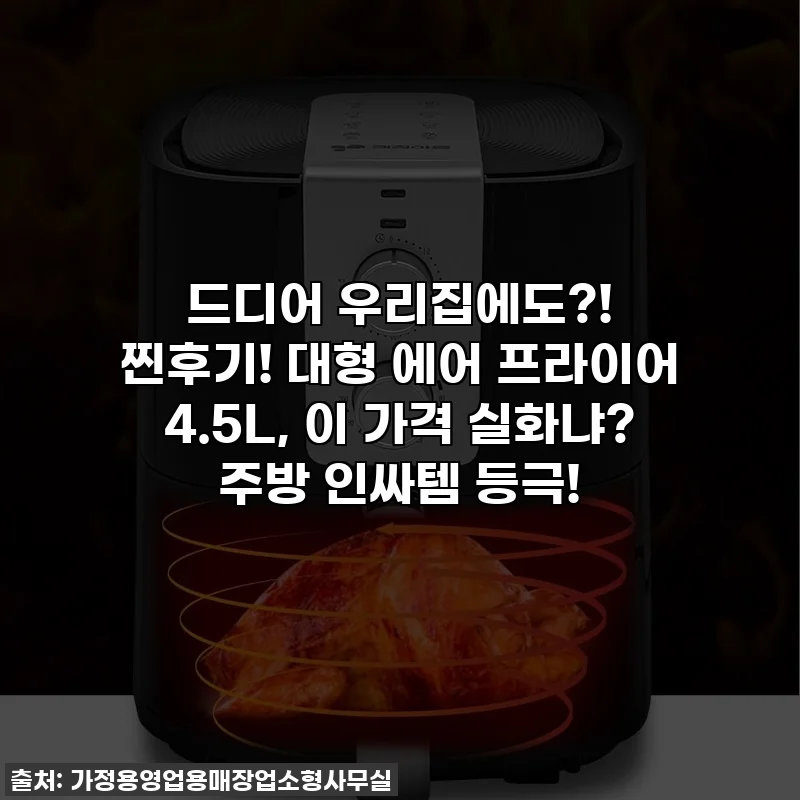 드디어 우리집에도?! 찐후기! 대형 에어 프라이어 4.5L, 이 가격 실화냐? 주방 인싸템 등극!