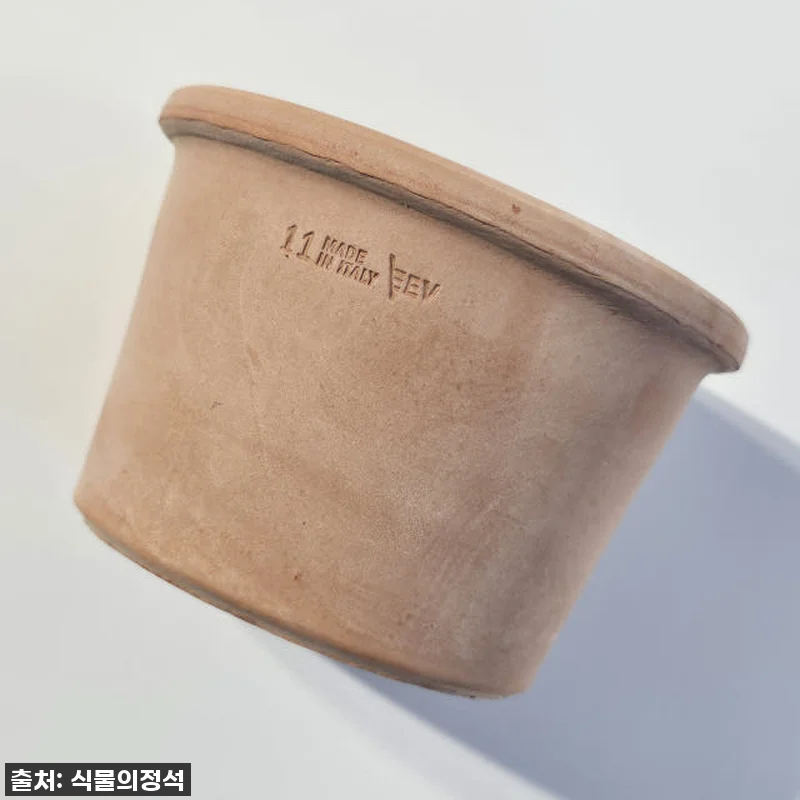 이 가격 실화? 식물의정석 EV이태리 관련 이미지 1