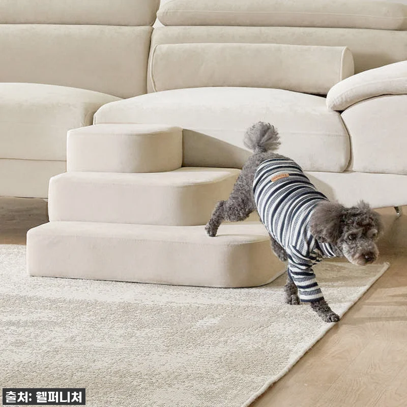 🐶💛 찐후기! 우리 댕냥이 관절 지킴 관련 이미지 1