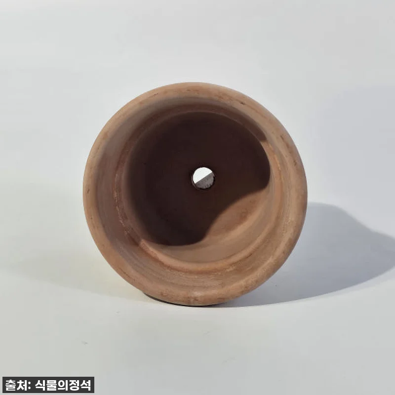 이 가격 실화? 식물의정석 EV이태리 관련 이미지 2