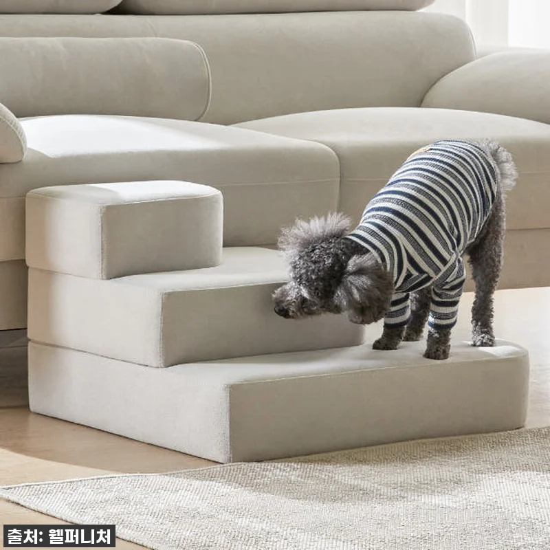 🐶💛 찐후기! 우리 댕냥이 관절 지킴 관련 이미지 2