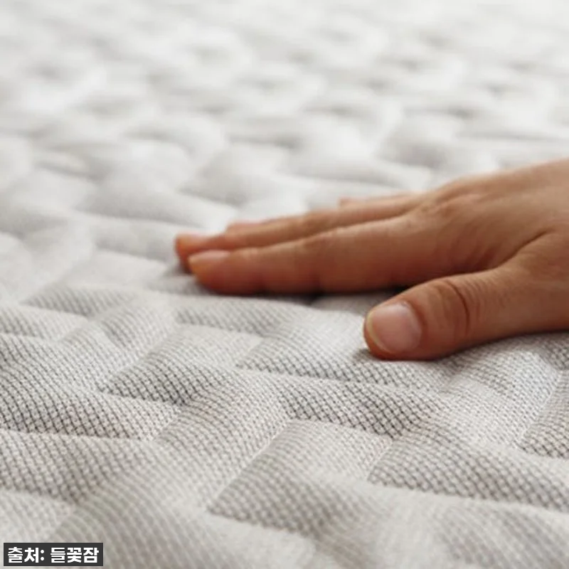 와, 이거 물건이네! 들꽃잠 그래핀 관련 이미지 2