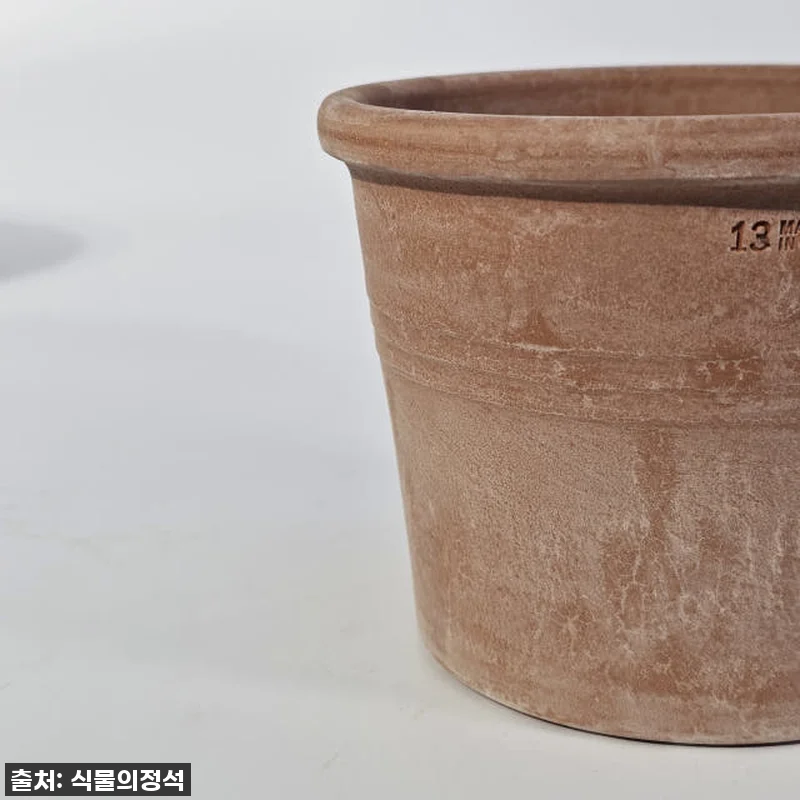 이 가격 실화? 식물의정석 EV이태리 관련 이미지 4