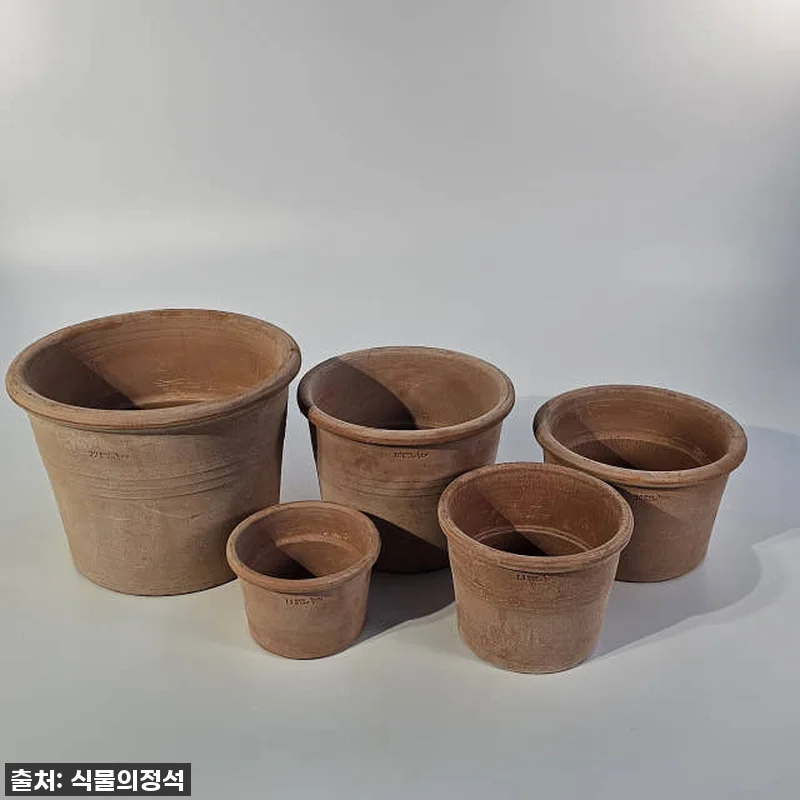 이 가격 실화? 식물의정석 EV이태리 관련 이미지 5