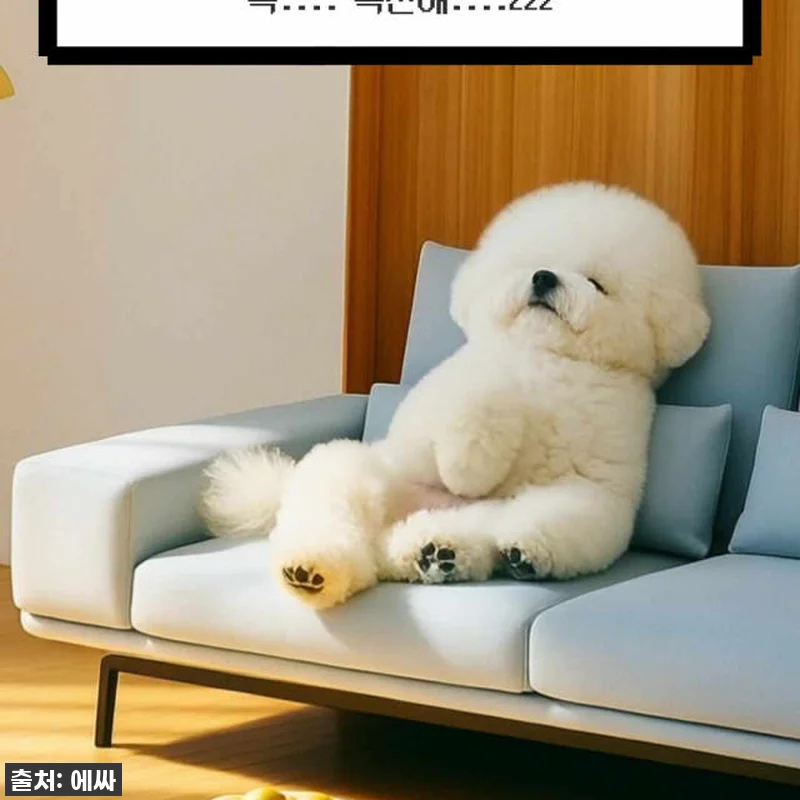 우리 집 거실이 카페로 변신! 에싸 관련 이미지 6