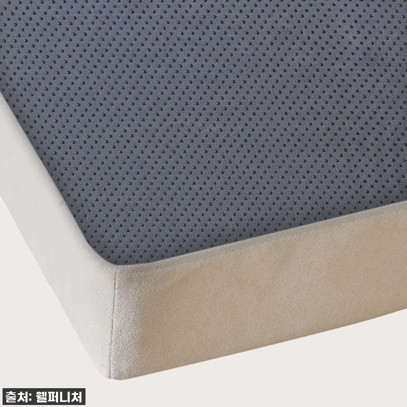 🐶💛 찐후기! 우리 댕냥이 관절 지킴 관련 이미지 7