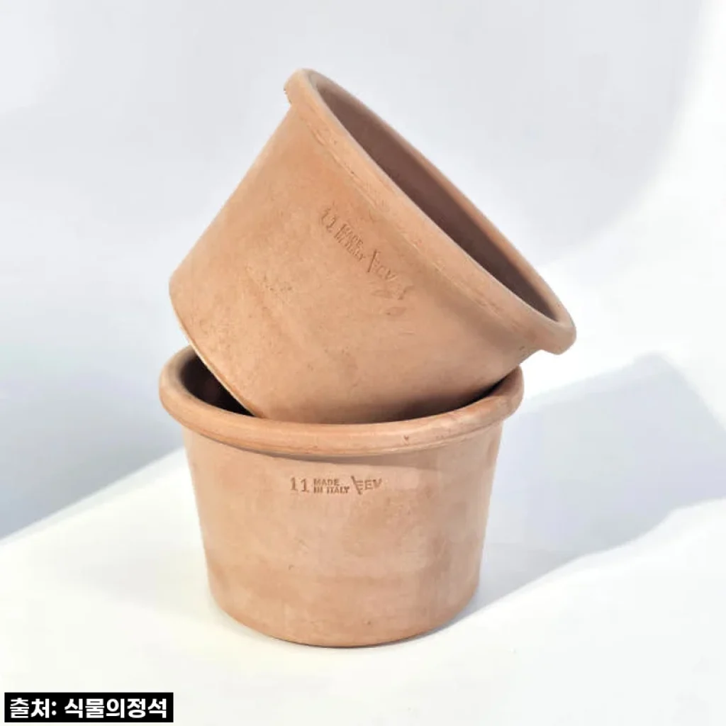 이 가격 실화? 식물의정석 EV이태리토분, 내 돈 내 산 솔직 후기! (feat. 품절임박 꿀템)