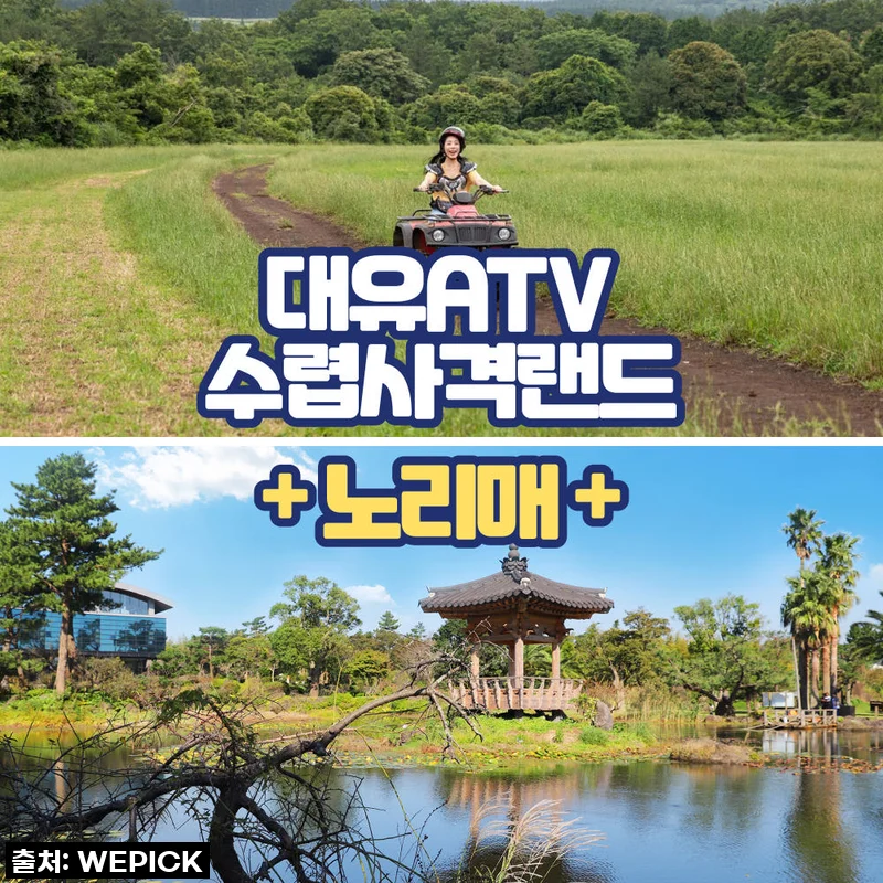 찐후기! 제주 대유랜드+노리매, 36,000원에 득템하고 제대로 놀다 왔어요!