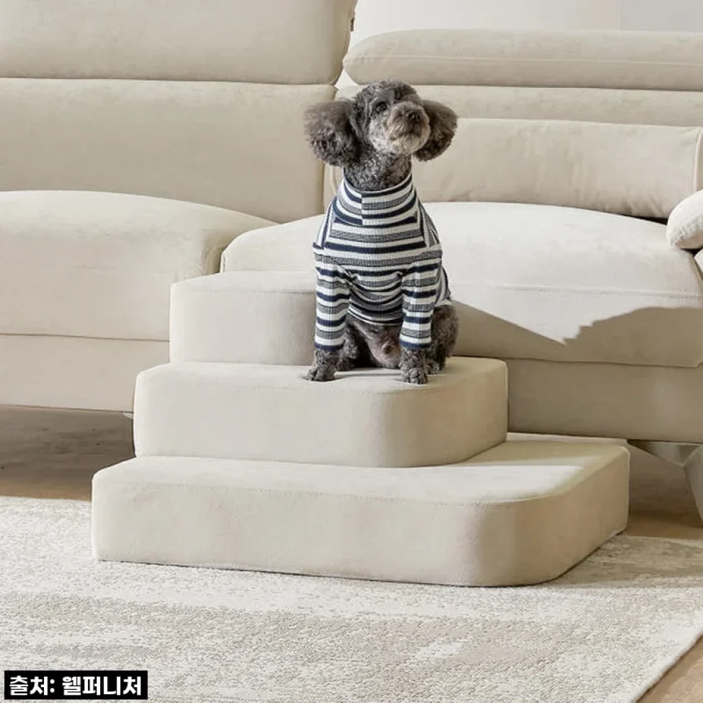 🐶💛 찐후기! 우리 댕냥이 관절 지킴이, 체리쉬 펫스텝 3단! 품절임박 전에 득템하세요! 💛🐶