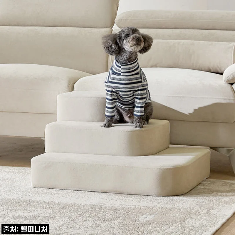 🐶💛 찐후기! 우리 댕냥이 관절 지킴이, 체리쉬 펫스텝 3단! 품절임박 전에 득템하세요! 💛🐶