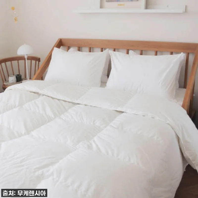 환절기 꿀잠 비결? 브리즈우드가든 폴 관련 이미지 1