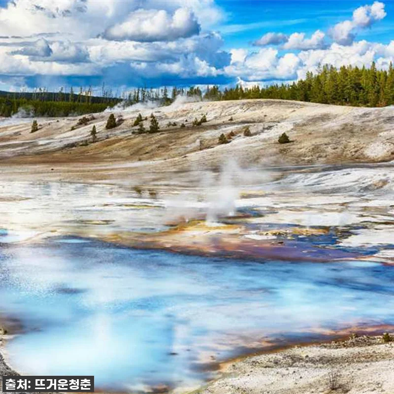 꿈에 그리던 미국 옐로스톤 국립공원 관련 이미지 1