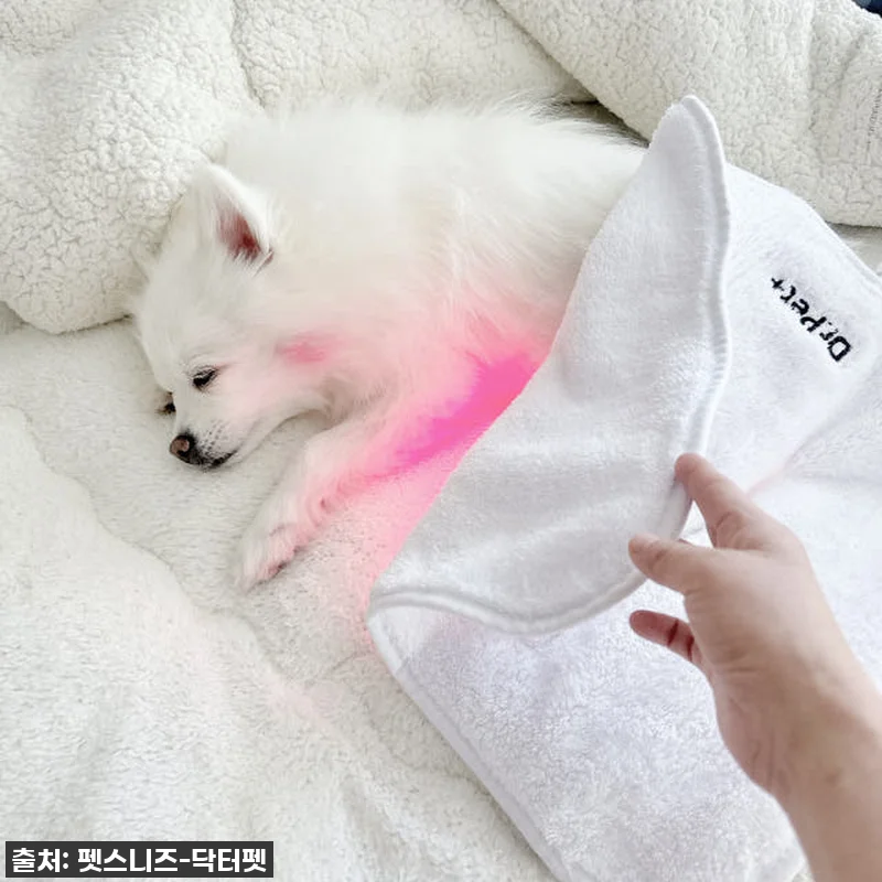 우리집 댕댕이 관절 지킴이, 펫스니즈 관련 이미지 1