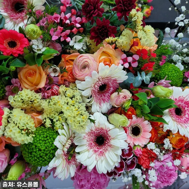 유스풀몰 꽃 정기구독 24회, 우리 관련 이미지 1