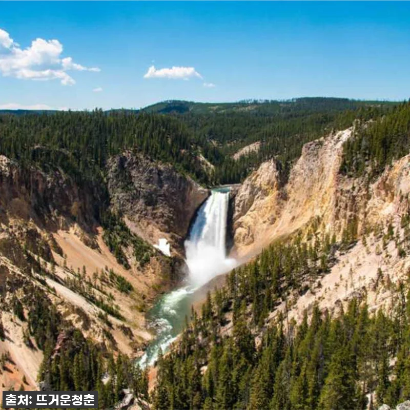 꿈에 그리던 미국 옐로스톤 국립공원 관련 이미지 2
