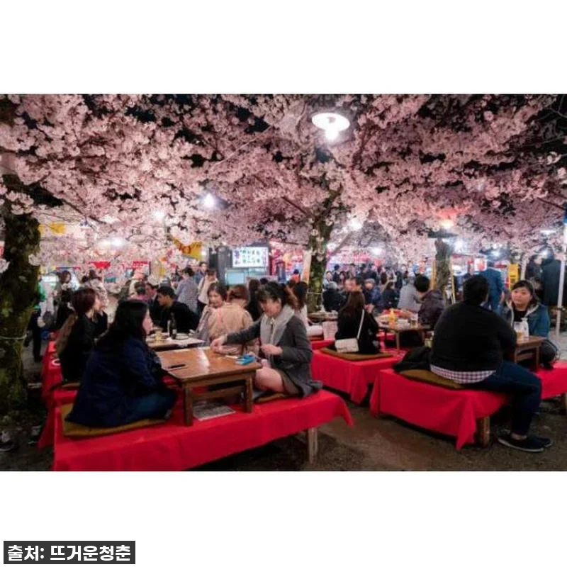 교토의 밤, 현지인처럼 즐기다! 지역 관련 이미지 2