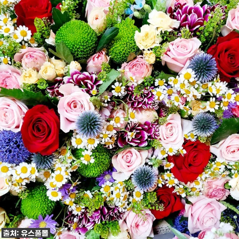 유스풀몰 꽃 정기구독 24회, 우리 관련 이미지 2