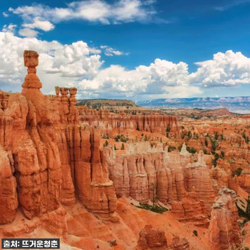 내 버킷리스트 실현! LA 출발 미국 관련 이미지 2