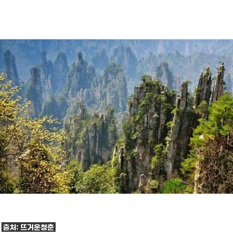 장가계 프라이빗 일일 투어, 혼자라도 관련 이미지 2