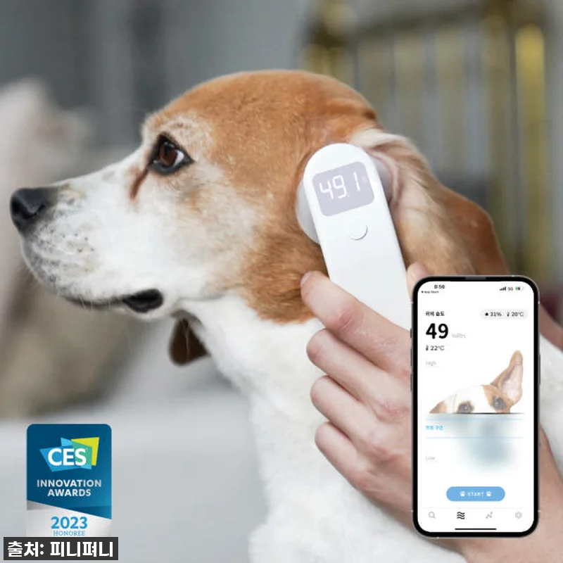 디버펫 강아지 귀 염증 냄새 고양이 관련 이미지 2