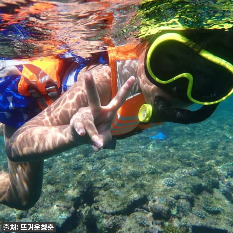 일본 오키나와 이리오모테섬 프라이빗 관련 이미지 2