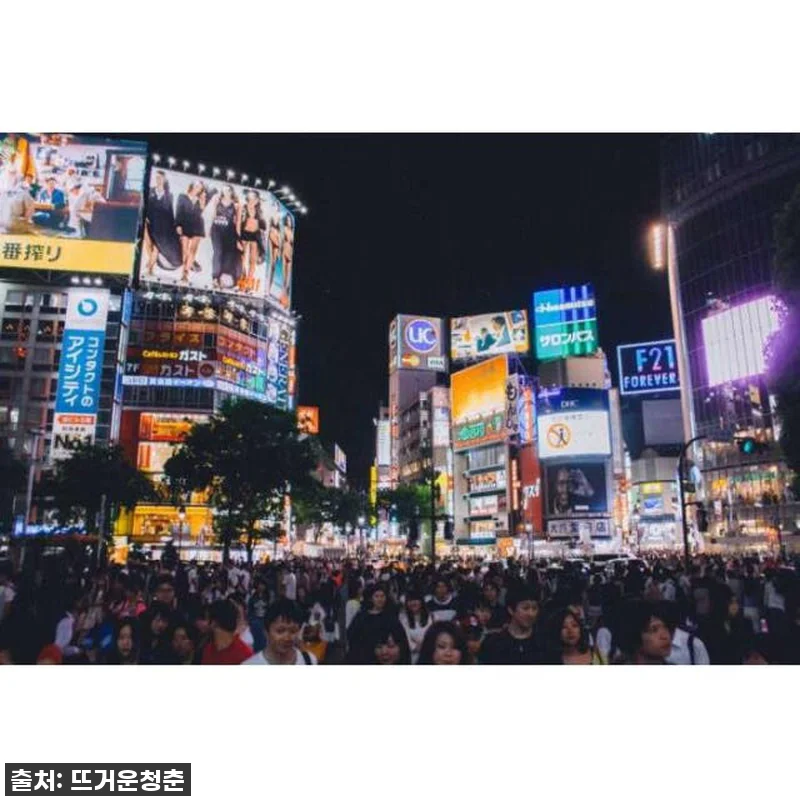 일본 도쿄 자동차 개인 맞춤형 1일 관련 이미지 2