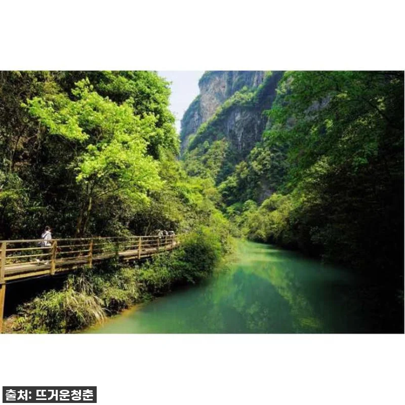 장가계 대협곡 프라이빗 투어, 직접 관련 이미지 2