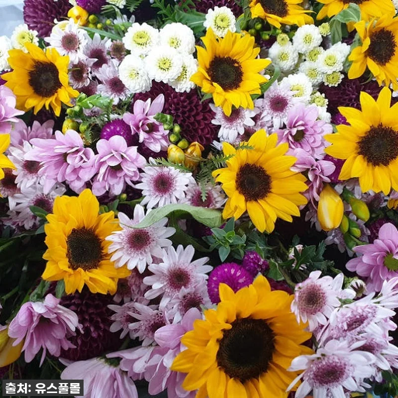 유스풀몰 꽃 정기구독 24회, 우리 관련 이미지 3