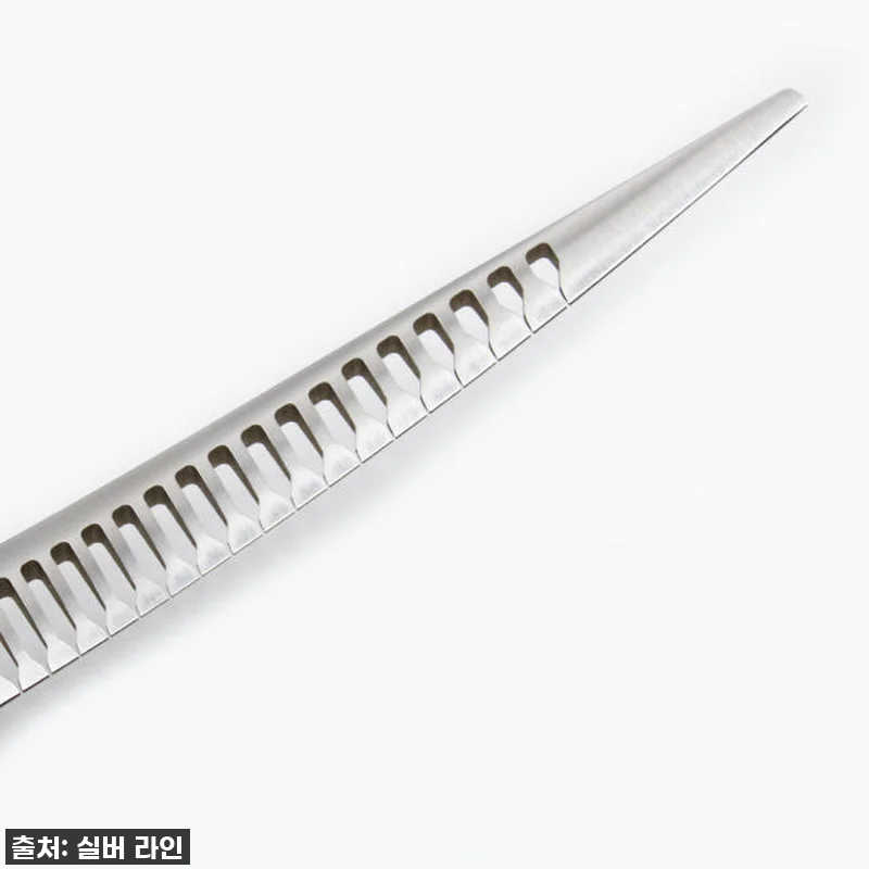 실버라인펫 HBMC 하이브리드 강아지 관련 이미지 2