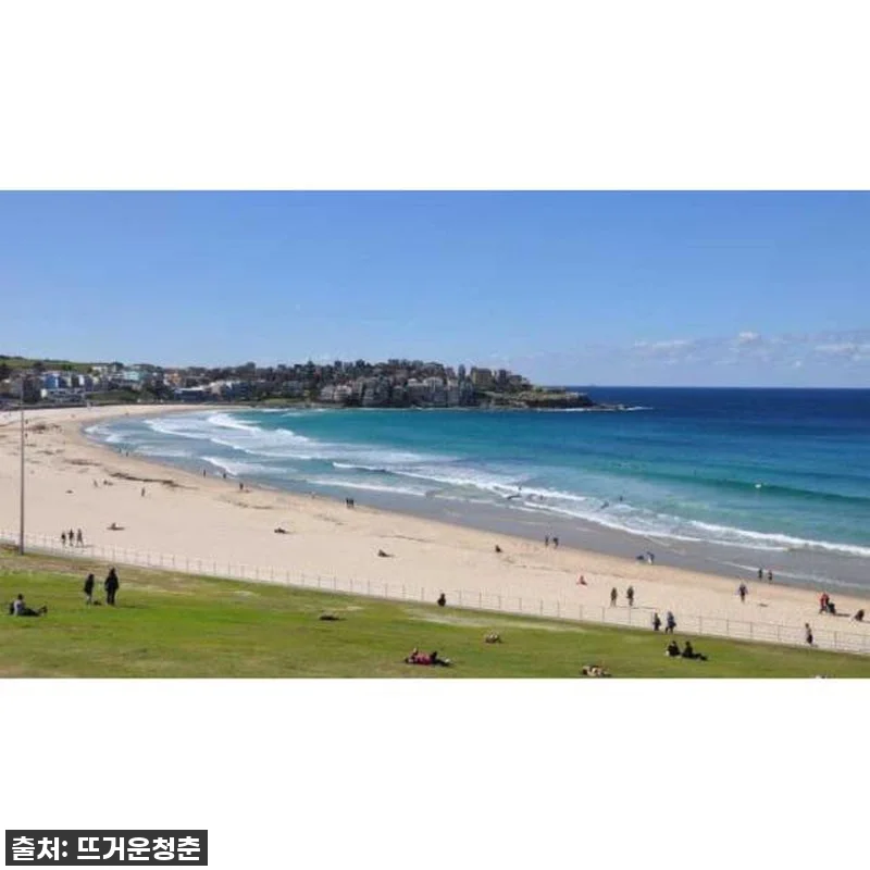 호주 시드니 프라이빗 반나절 투어, 관련 이미지 3