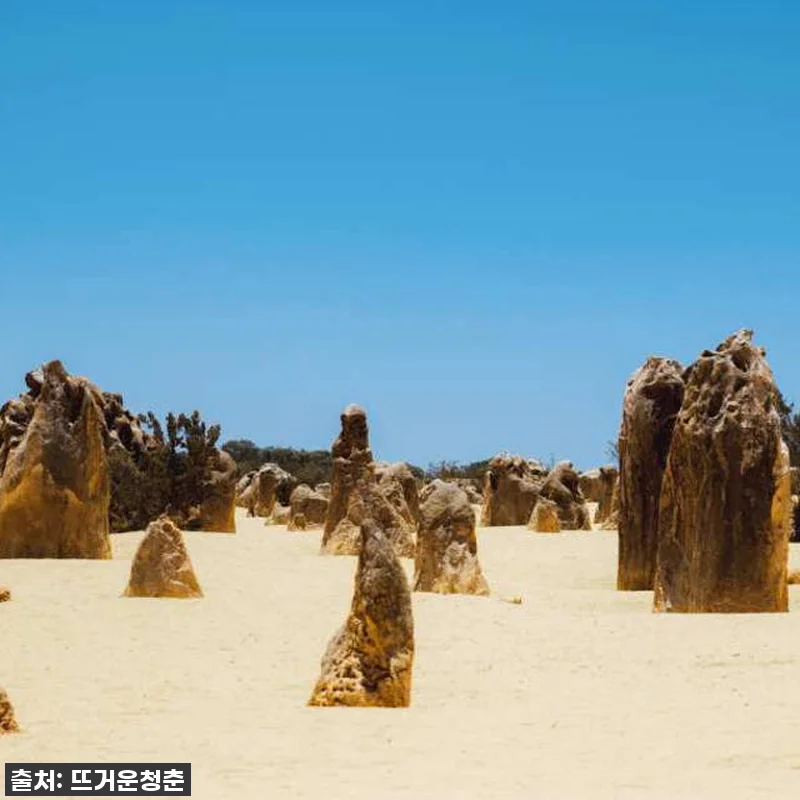 호주 서호주 2박3일 투어: 핑크호수 관련 이미지 3