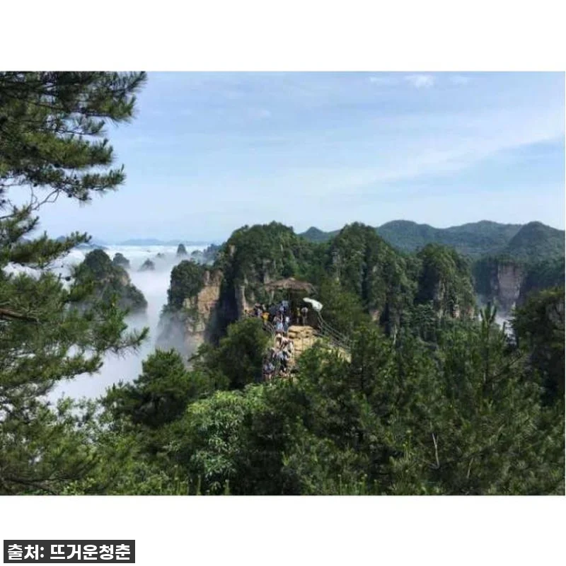 장가계 프라이빗 일일 투어, 혼자라도 관련 이미지 3