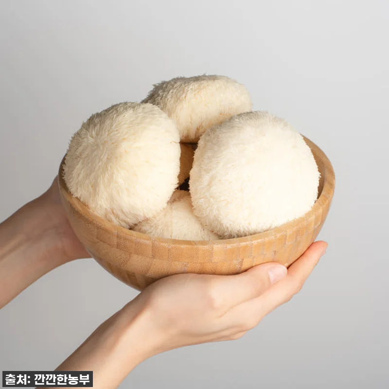 [깐깐한농부] 진한 노루궁뎅이버섯 액 관련 이미지 2