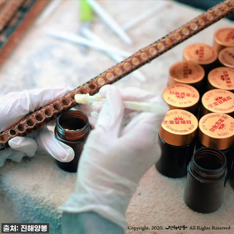 진해양봉 로얄젤리 1개월분 4병 세트 관련 이미지 3