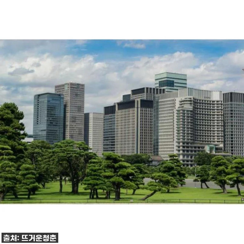 일본 도쿄 자동차 개인 맞춤형 1일 관련 이미지 3