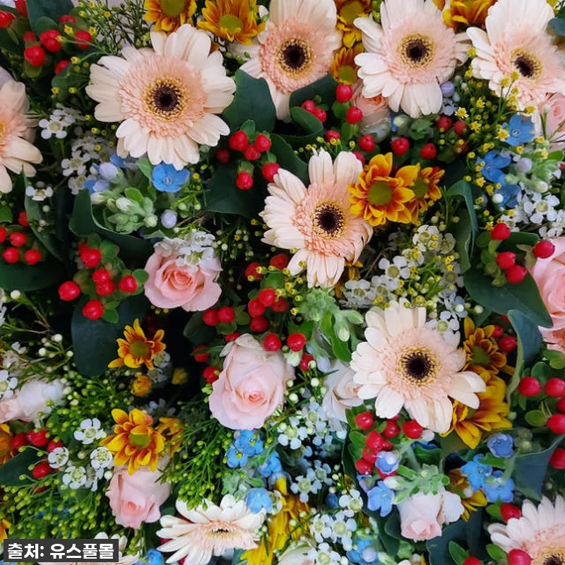 유스풀몰 꽃 정기구독 24회, 우리 관련 이미지 4