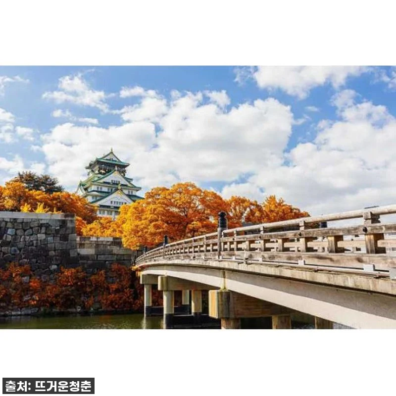 오사카에서 나만의 특별한 하루, 개인 관련 이미지 4