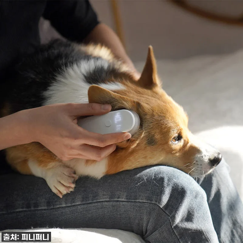 디버펫 강아지 귀 염증 냄새 고양이 관련 이미지 4